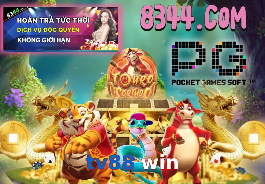 tv88 win